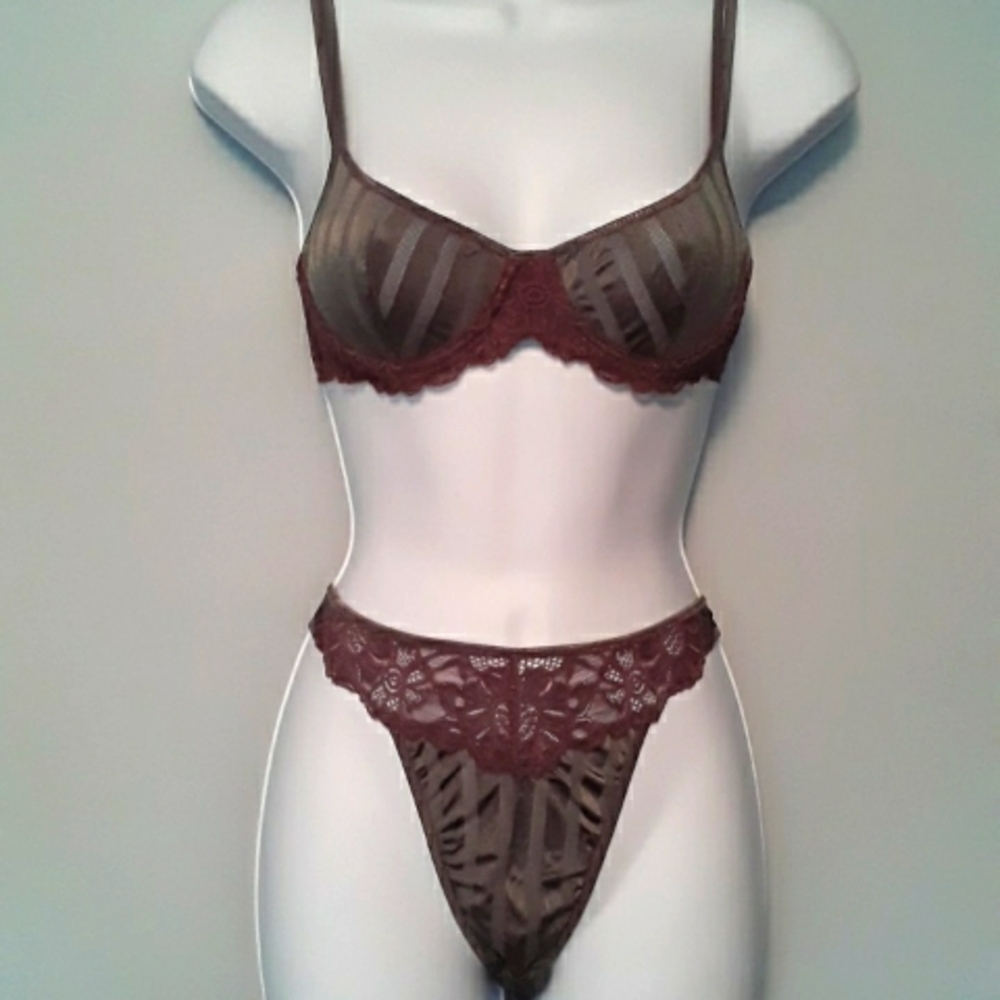 90s Parisa by Amir Demi Underwire Sheer Bra & Thong set, Taupe & Dusty Lilac 34B